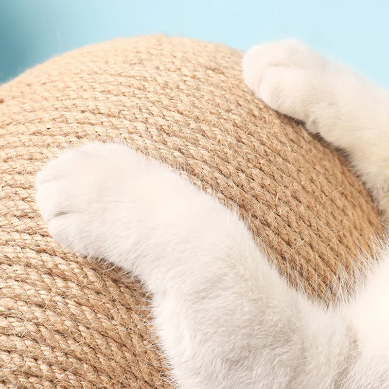 Katzen Kratzball