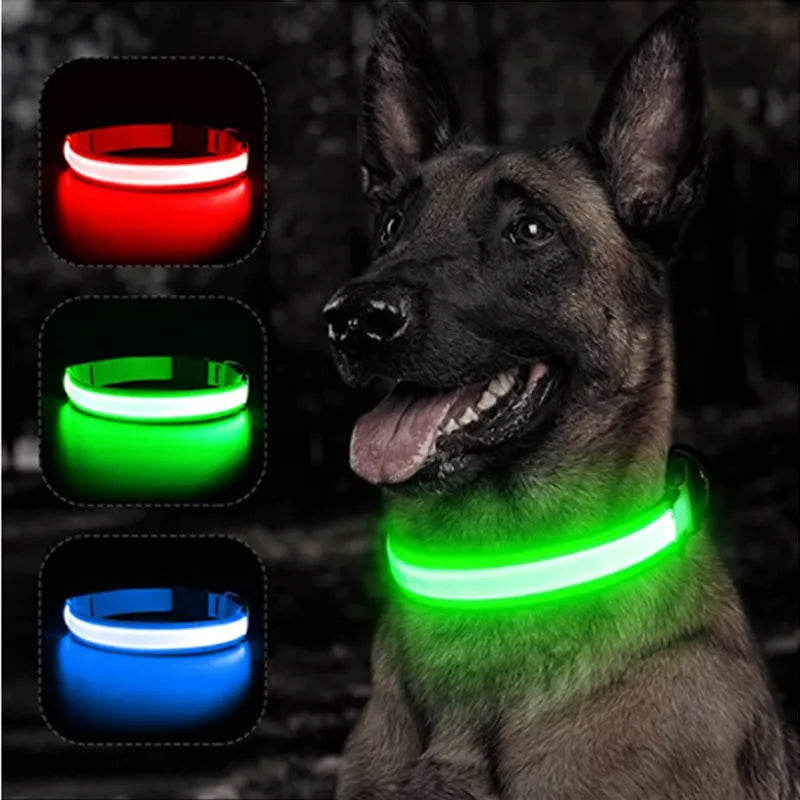 leuchtendes Hundehalsband