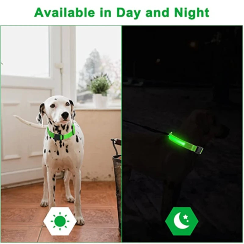 leuchtendes Hundehalsband