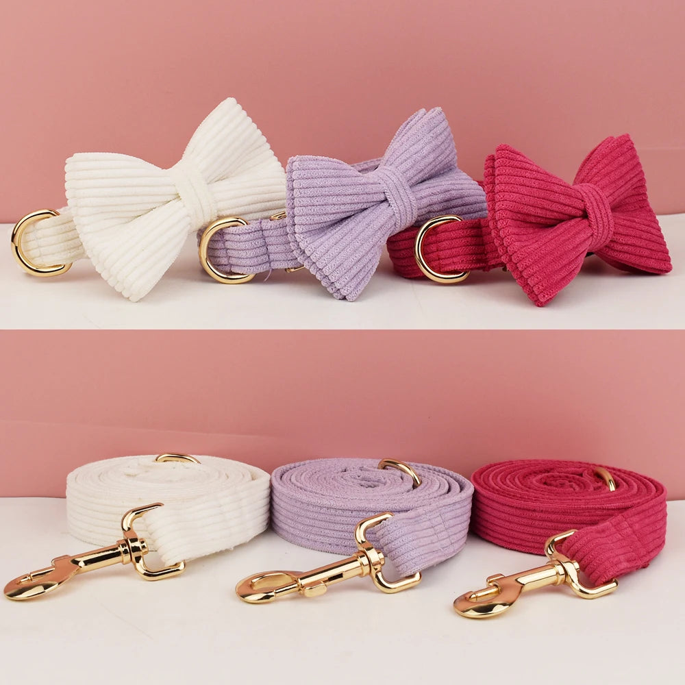 Cord Hundehalsband