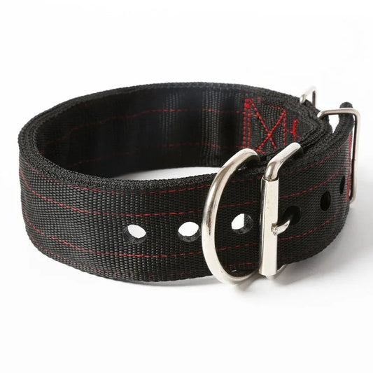 Halsband
