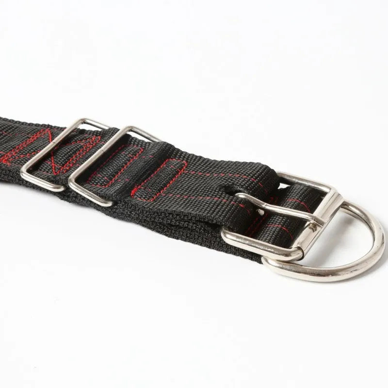 Halsband