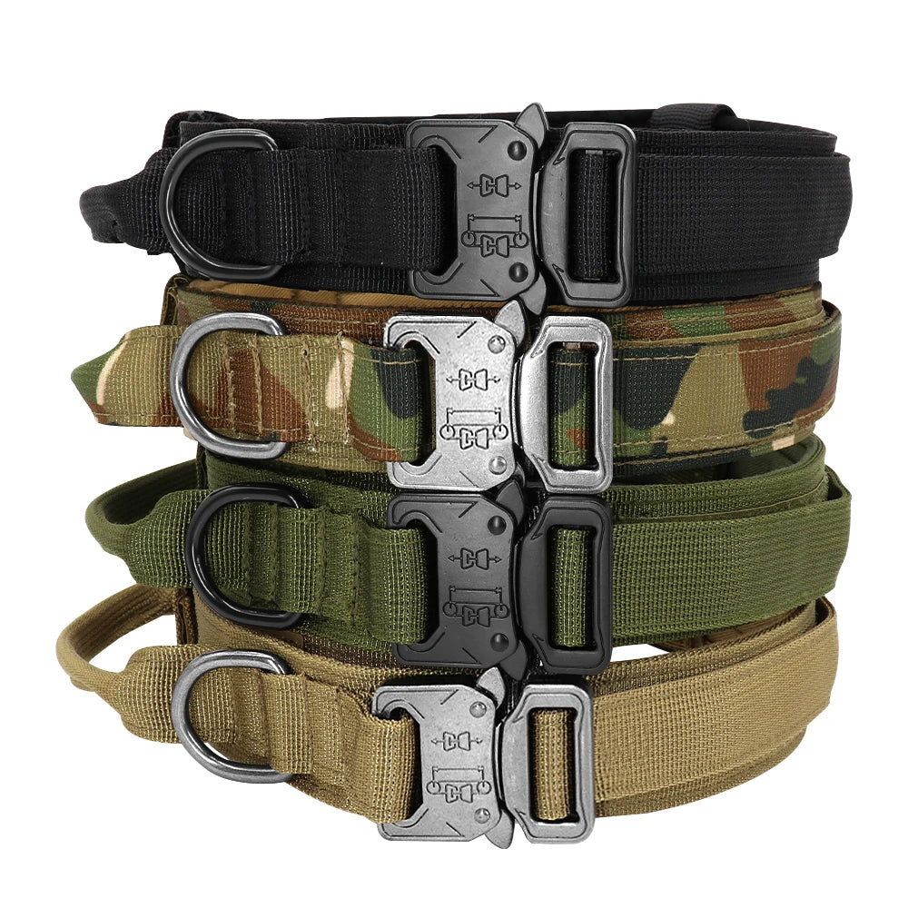 Halsband mit Griff und Leine