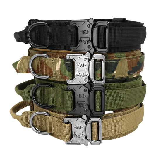 Halsband mit Griff und Leine