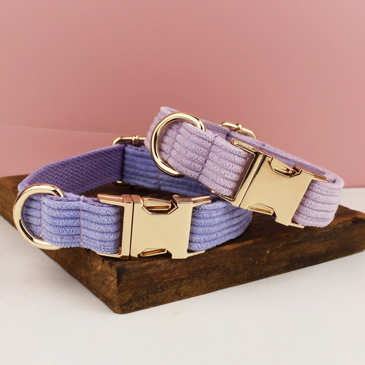 Cord Hundehalsband