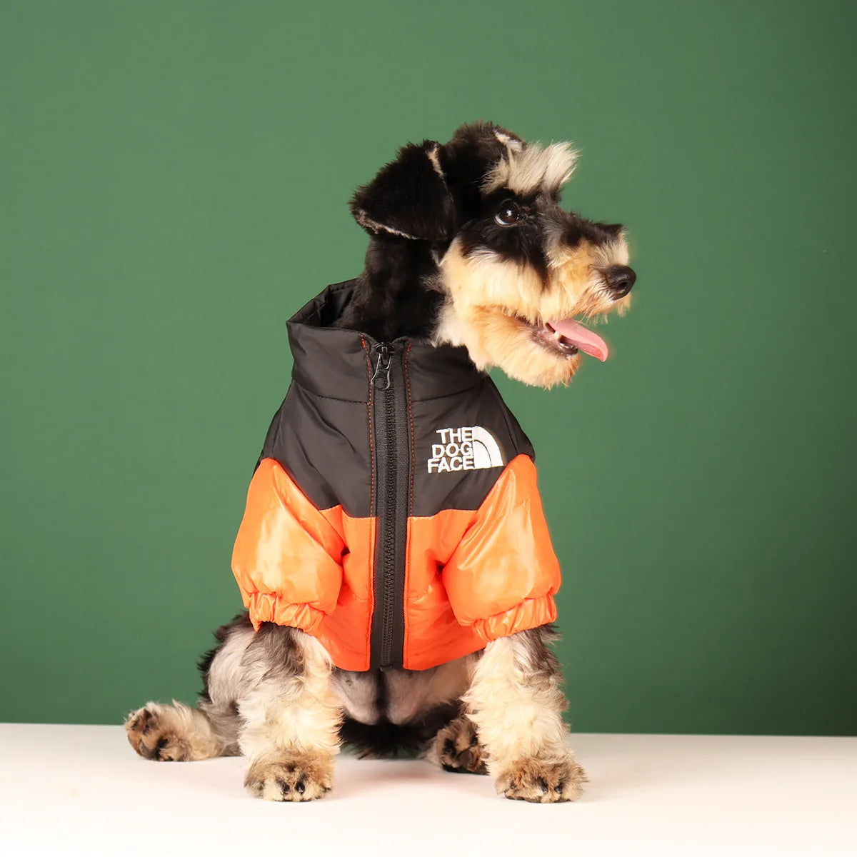 Winterjacke The Dog Face