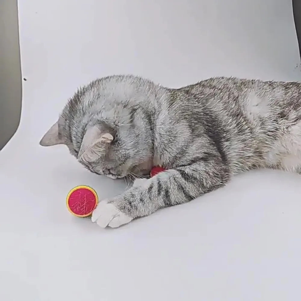 Regenbogen-Ball