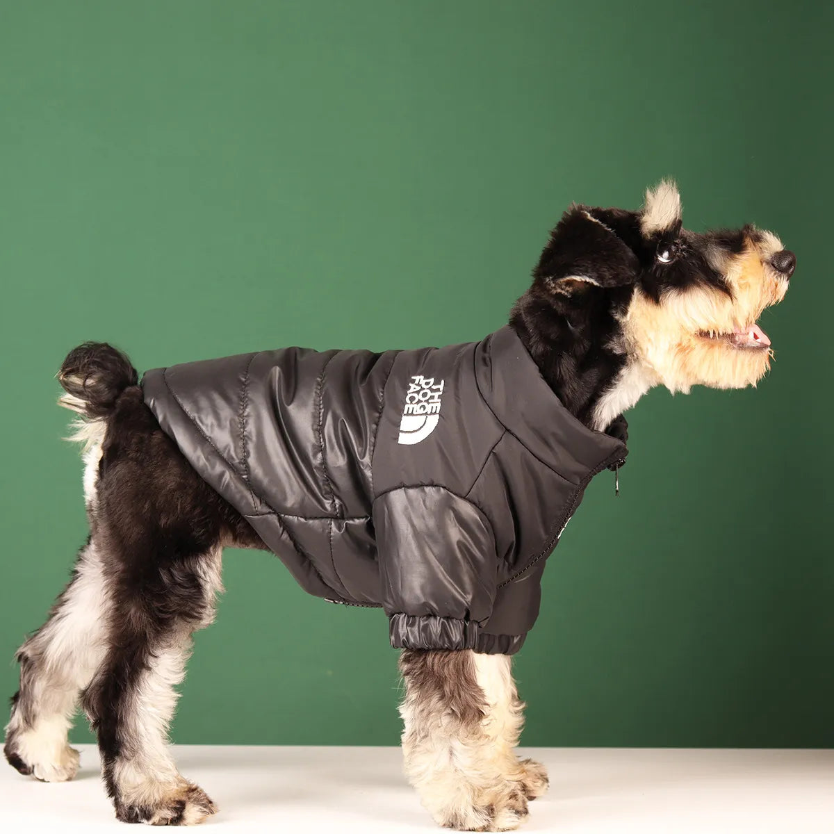 Winterjacke The Dog Face