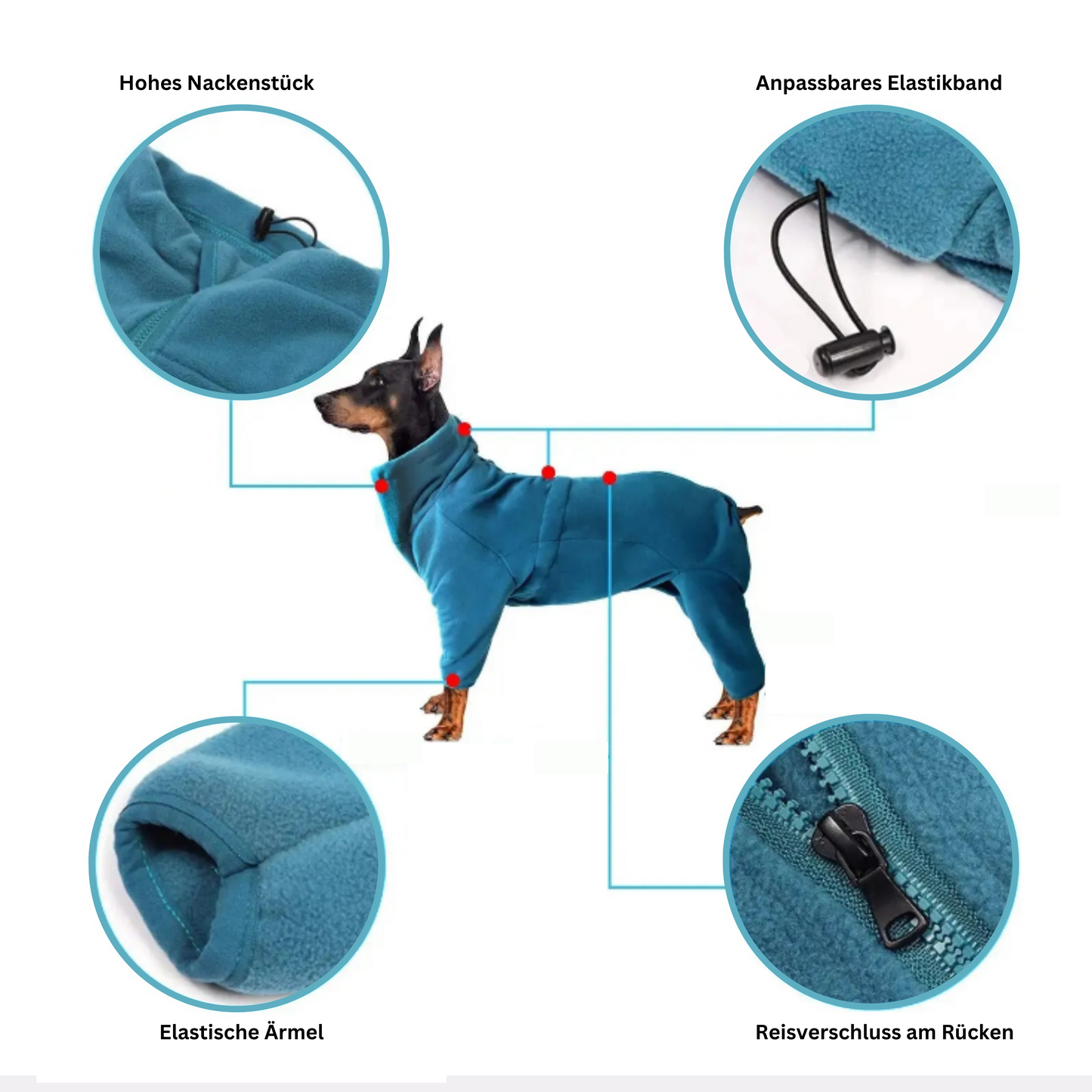 Hunde Wintermantel