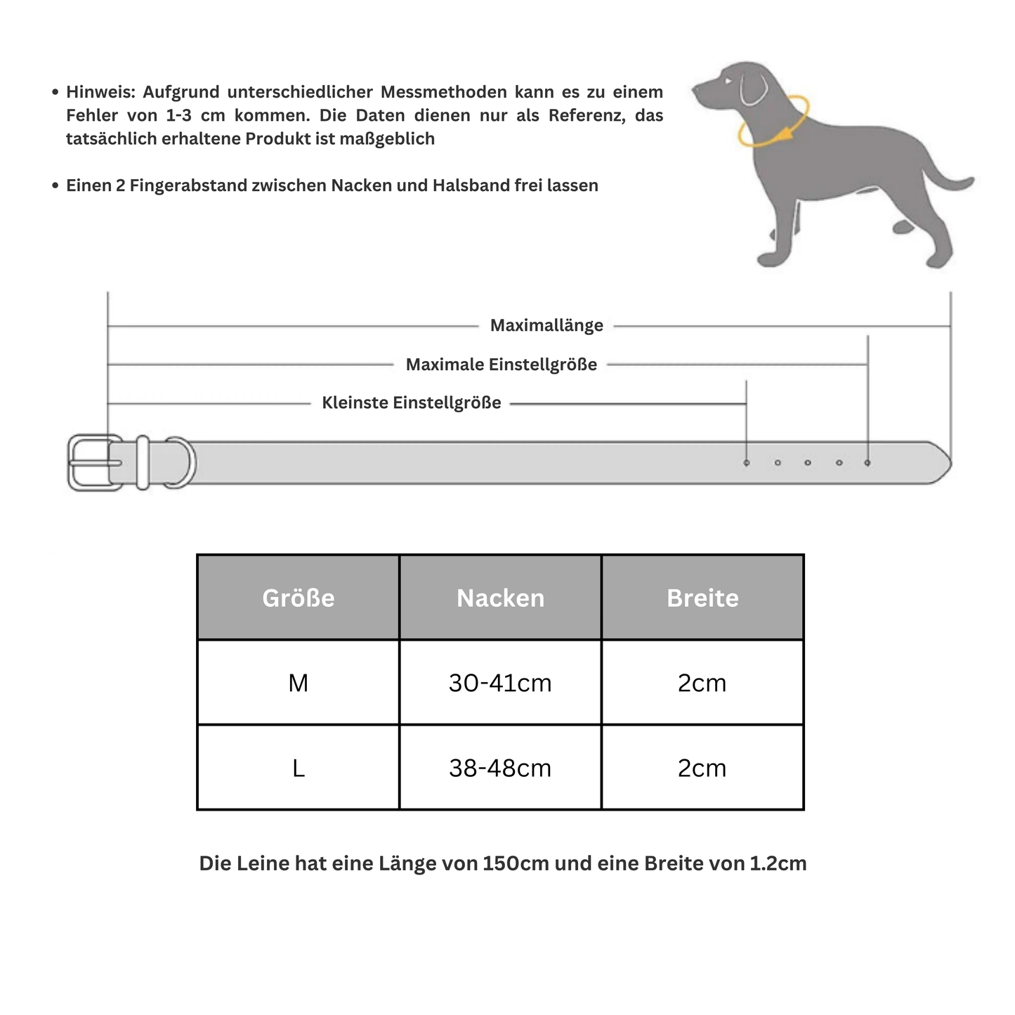 Hundehalsband und Leine aus Leder