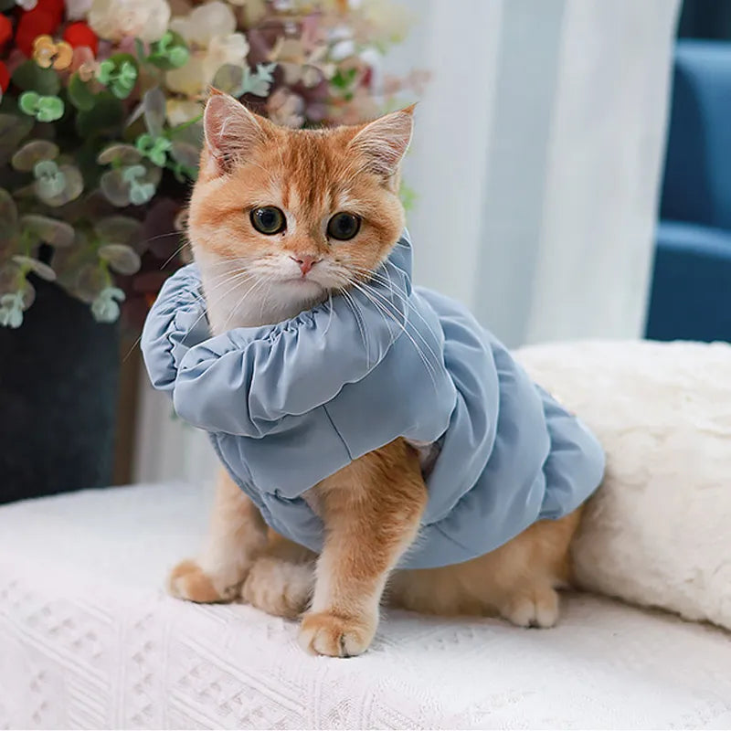 Winterjacke für kleine Hunde und Katzen