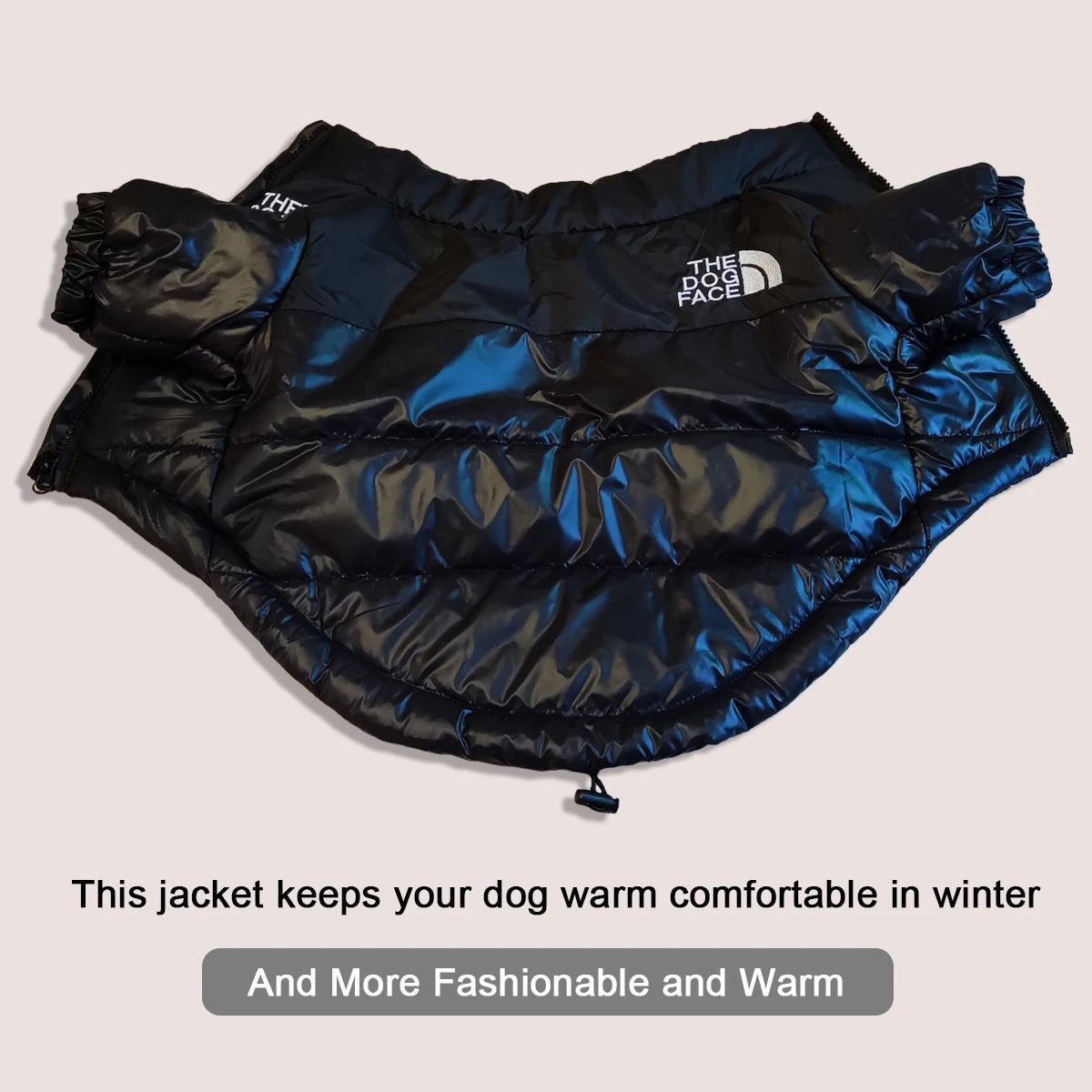 Winterjacke The Dog Face