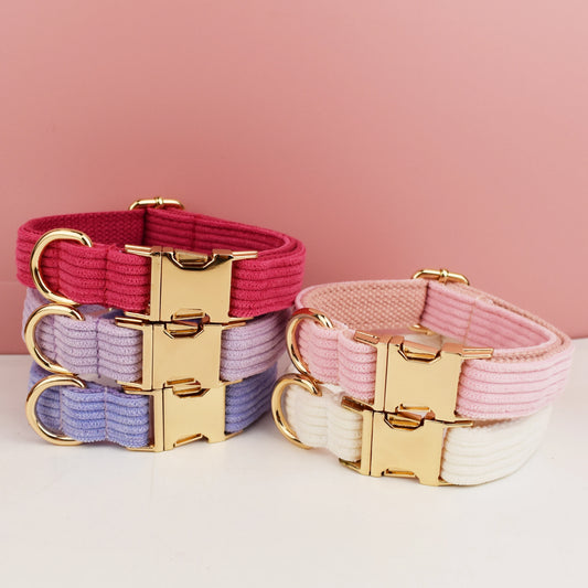 Cord Hundehalsband