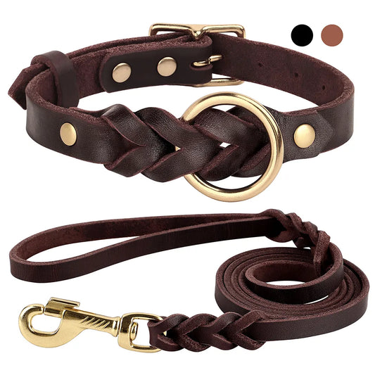 Hundehalsband und Leine aus Leder