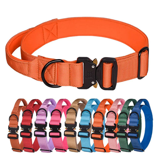 Halsband mit Griff und Schnellverschluss