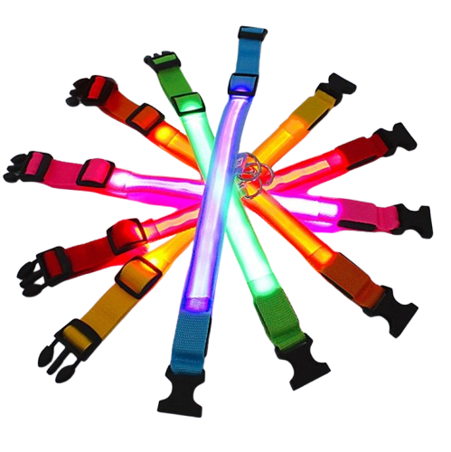 leuchtendes Hundehalsband